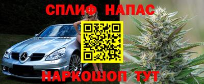 сатива Ливны